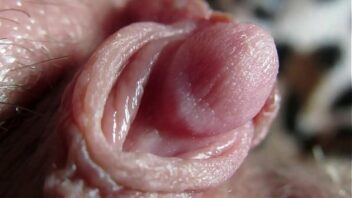 Lips Kissing Gif Lesbians Extreme Close Up Porn