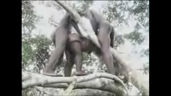 African Jungle Tribe cogidod Video Porn