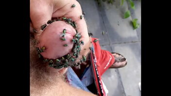 Big Fly Larva In Cock Porn