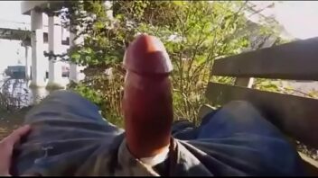 Free Porn Gay In Forest