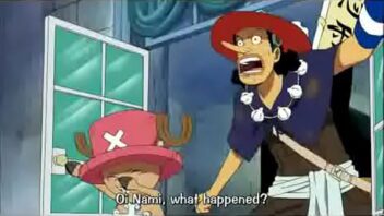 11 anime one piece sama